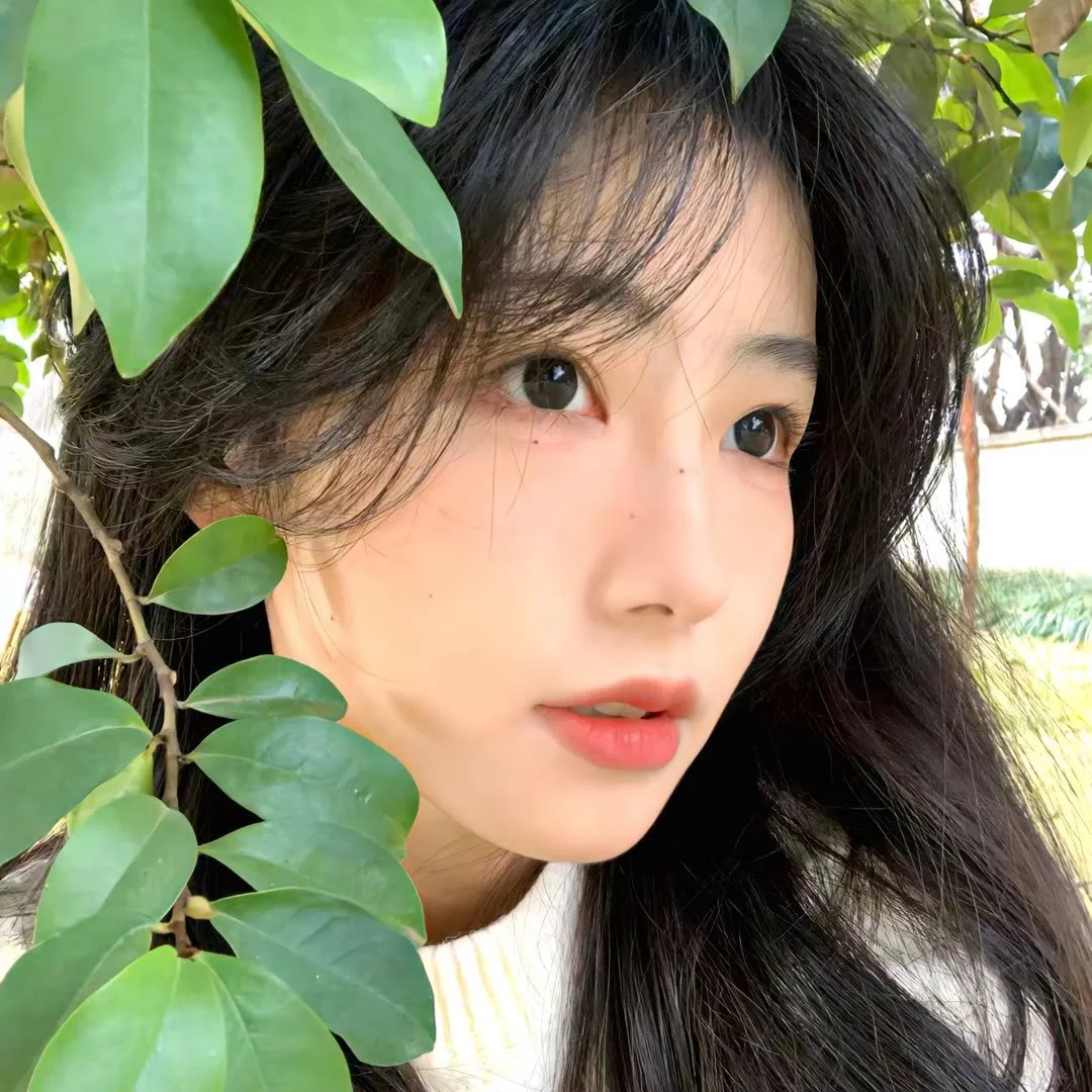 露营悄悄话